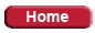Home button